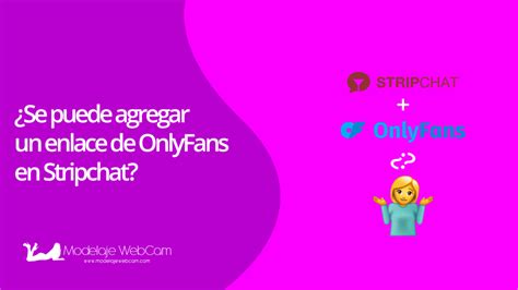 onlyfans stripchat|11 Must